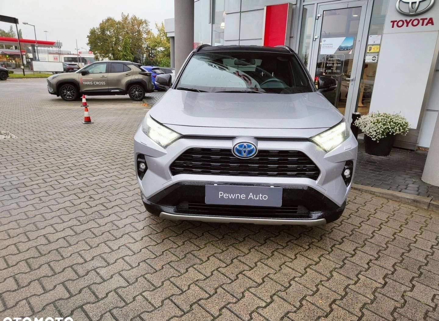 Toyota RAV4 cena 179900 przebieg: 21309, rok produkcji 2022 z Krzywiń małe 277